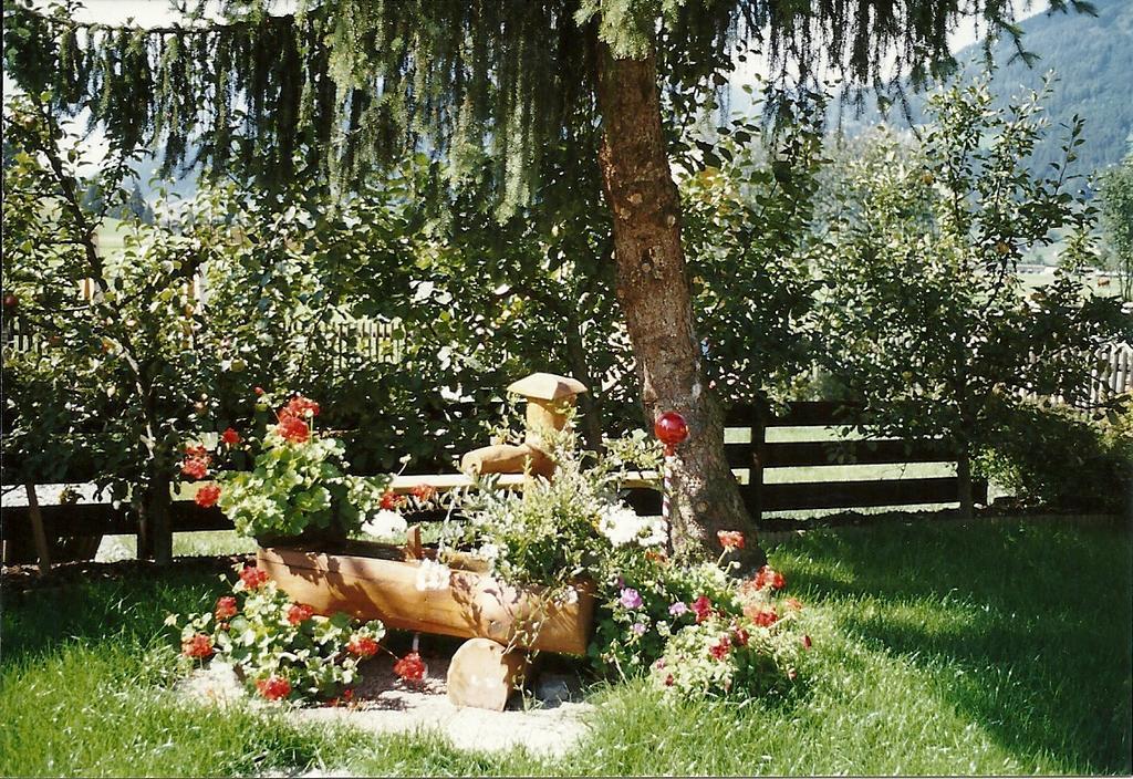 Pension Wieser "Baschtlmai" Altenmarkt im Pongau Exteriér fotografie