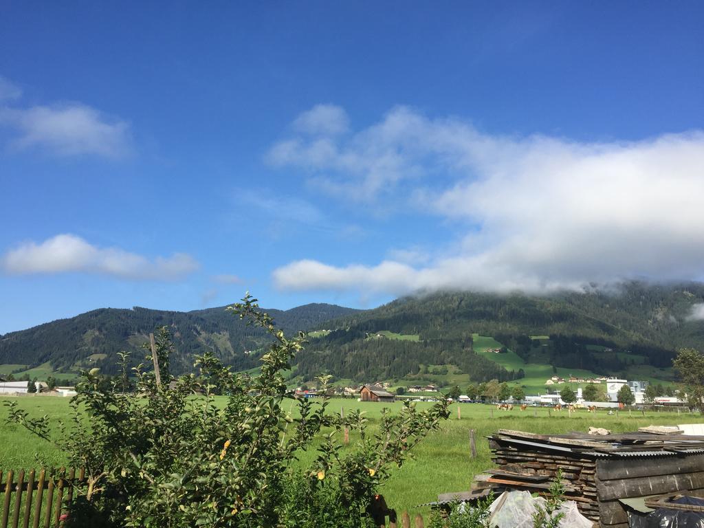 Pension Wieser "Baschtlmai" Altenmarkt im Pongau Exteriér fotografie