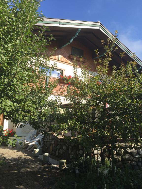 Pension Wieser "Baschtlmai" Altenmarkt im Pongau Exteriér fotografie